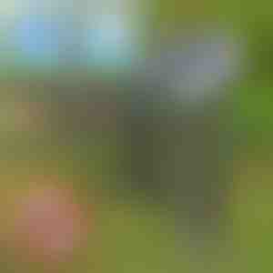 Solarni uređaj protiv štetočina | SOLGUARD