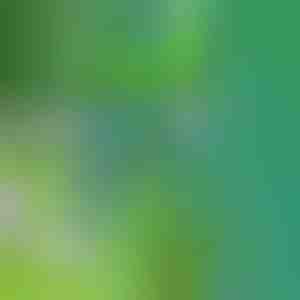 Alat za uklanjanje korova | SPINOUT