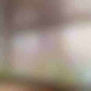 Živopisna cvetna nalepnica za prozor | FLORASTIK